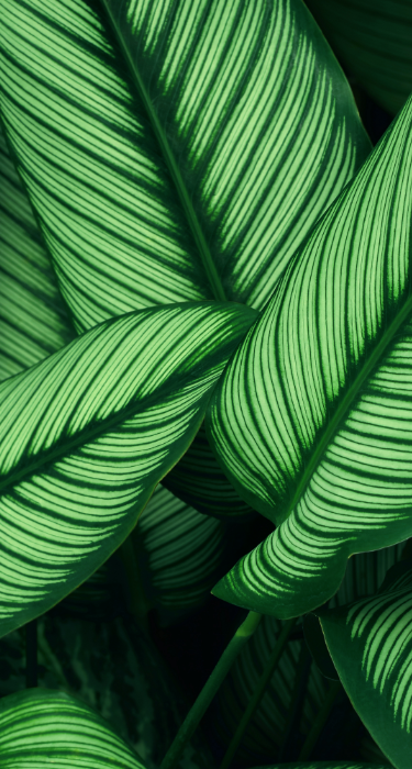 /upload/IMMAGINI SITI WEB/EST/4_SOSTENIBILITA/2_SLOW COLOR/M_MODULO 123 POSTER – 2.png